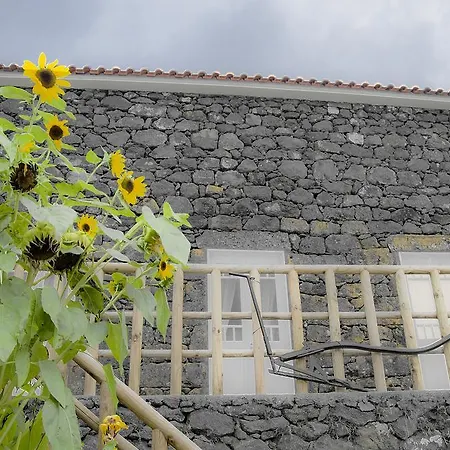 بيت للعطل Stone Dreams - Pedra Da Atafona *