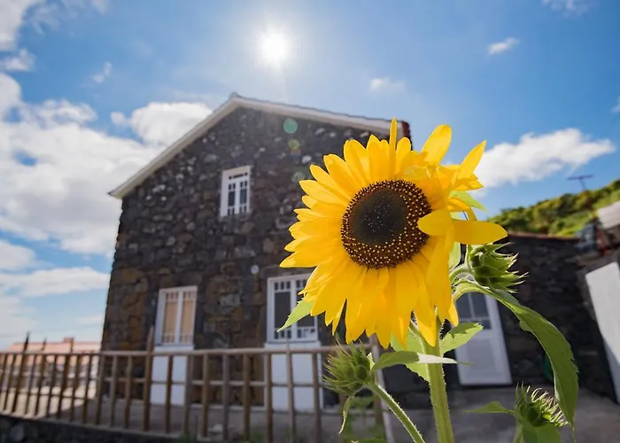 Stone Dreams - Pedra Da Atafona بيت للعطل