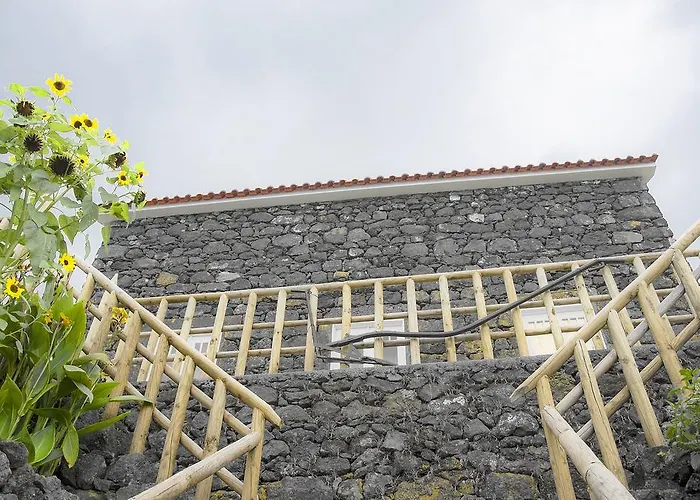 Stone Dreams - Pedra Da Atafona