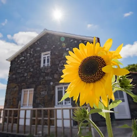 Stone Dreams - Pedra Da Atafona Nyaraló