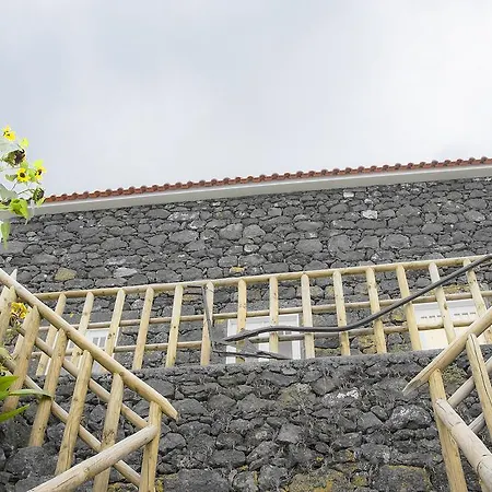 Stone Dreams - Pedra Da Atafona