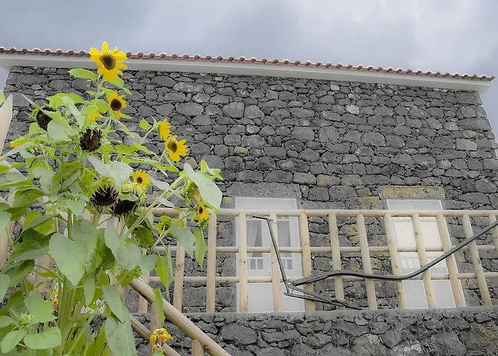 Hébergement de vacances Stone Dreams - Pedra Da Atafona *